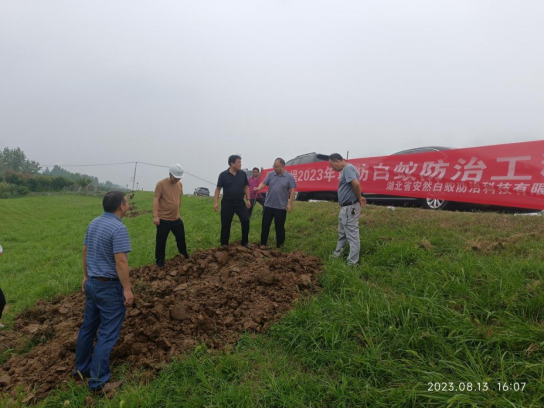 ����ʡ������ˮ���ֺͶ��ִ��쵼ݰ��ʩ���ֳ�ָ������